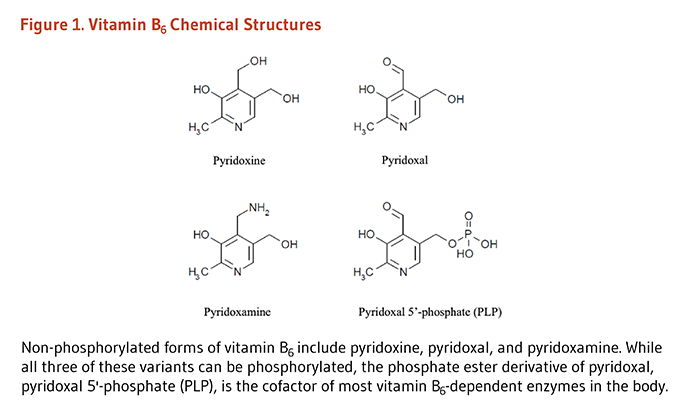  Vitamin B6 (pyridoxine) 